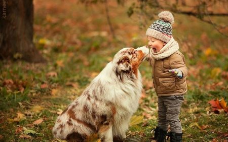 Elena Karneeva: Capturing the Magic Between Children and Animals