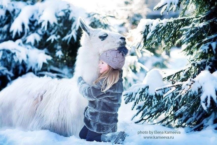 Elena Karneeva: Capturing the Magic Between Children and Animals