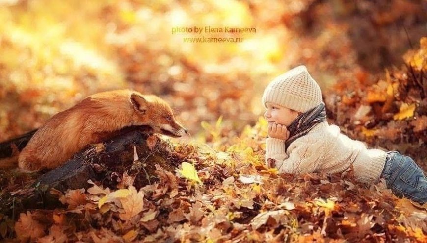 Elena Karneeva: Capturing the Magic Between Children and Animals