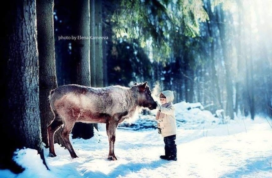 Elena Karneeva: Capturing the Magic Between Children and Animals
