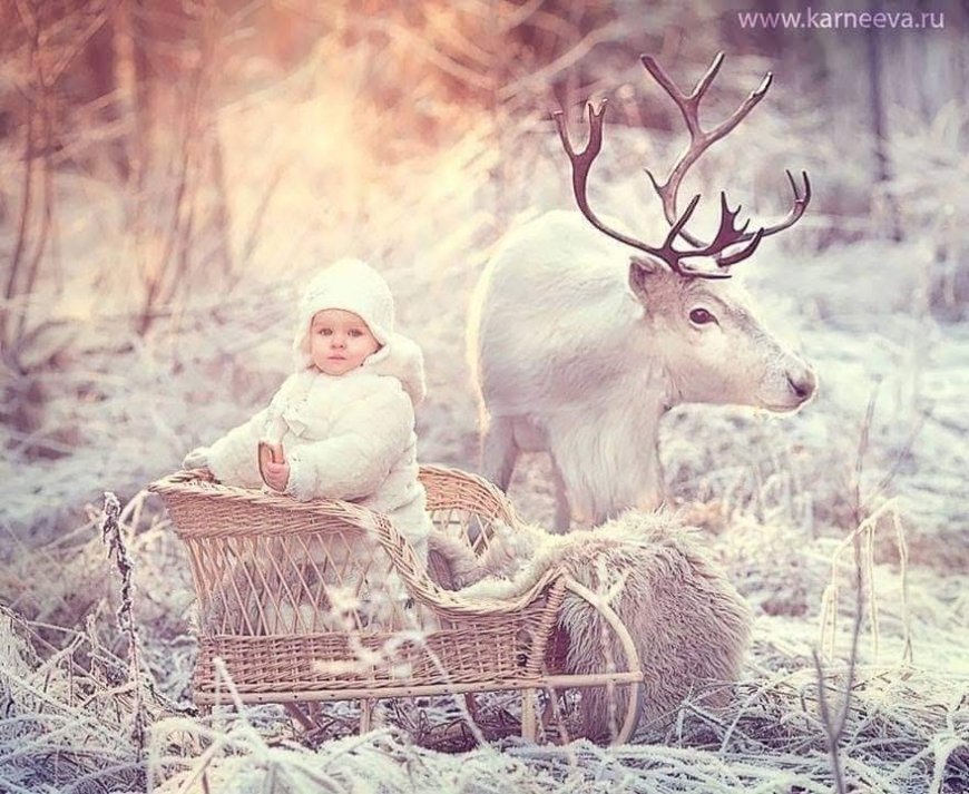 Elena Karneeva: Capturing the Magic Between Children and Animals