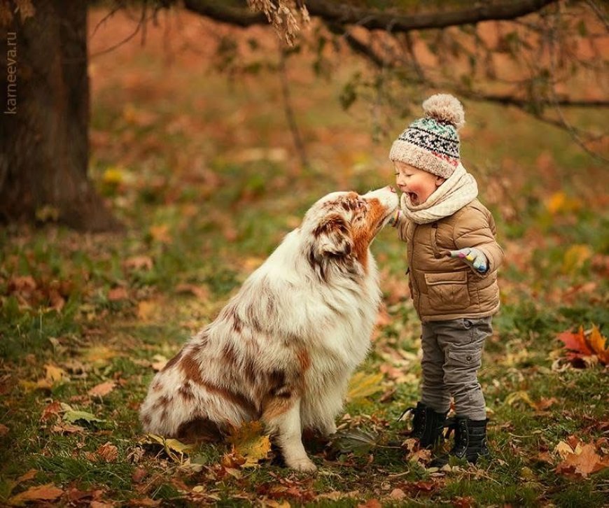 Elena Karneeva: Capturing the Magic Between Children and Animals