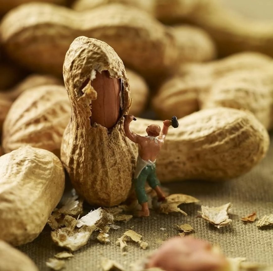 “Small Figures, Big Imagination” ,28 Photographs of Turning Food into Tiny Worlds