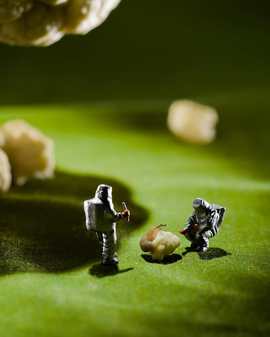 “Small Figures, Big Imagination” ,28 Photographs of Turning Food into Tiny Worlds